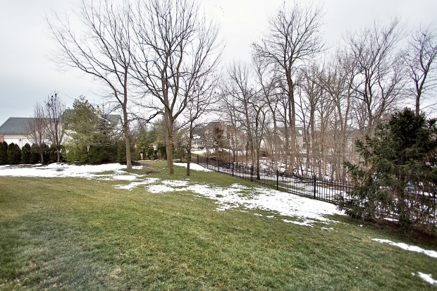 4207 Austin Ridge Drive backyard.jpg